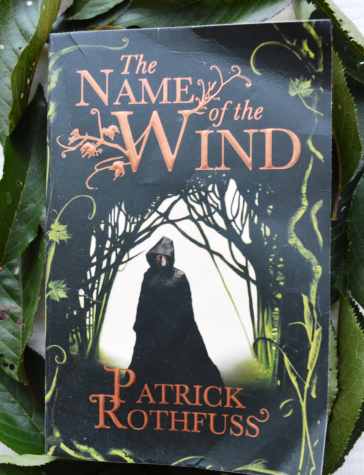 The name of the Wind by Patrick Rothfuss